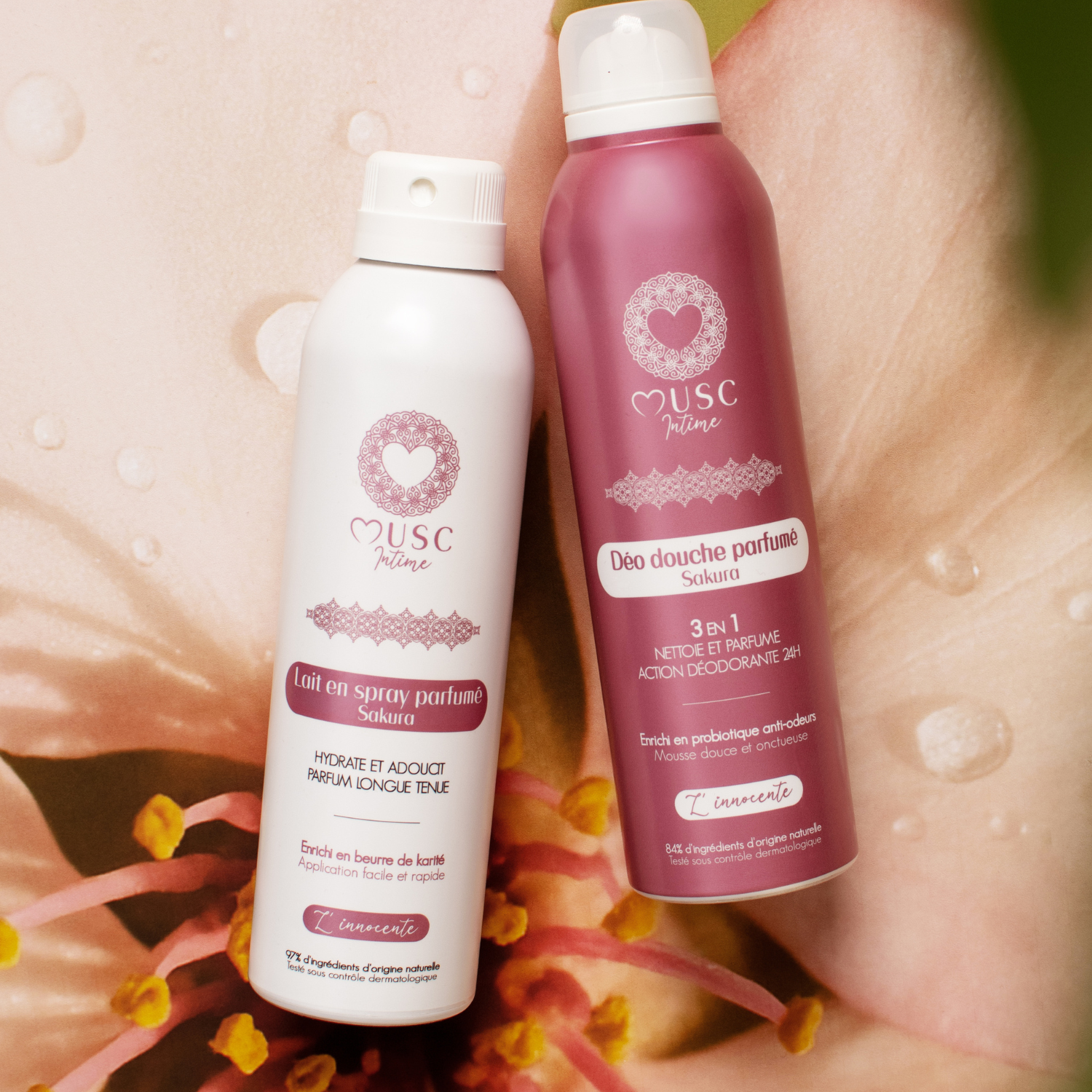 Duo Douceur de L’Innocente au Sakura